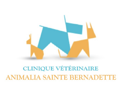 Logo de Animalia saint Bernadette